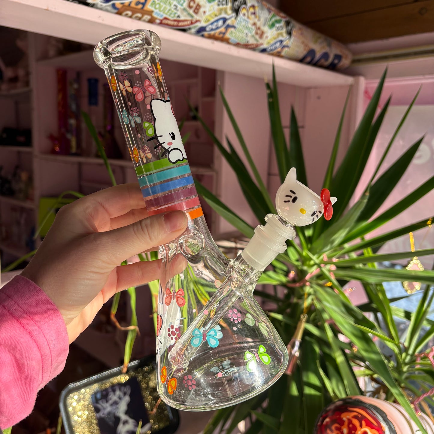 Cute Cat Glass Bowl Slide