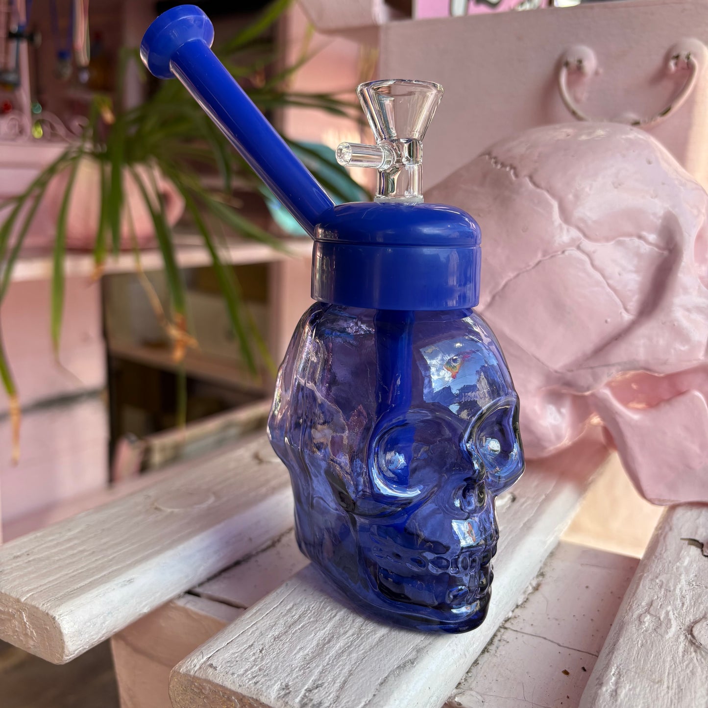 Skull Jar Water Pipe
