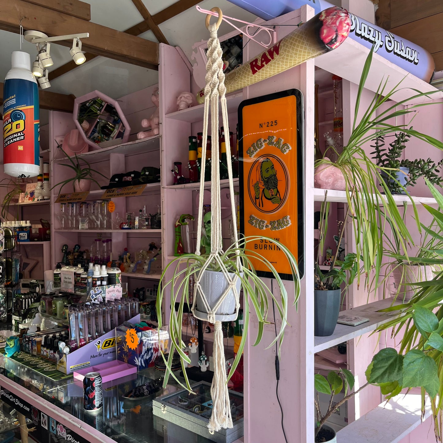 Macrame Plant Hanger