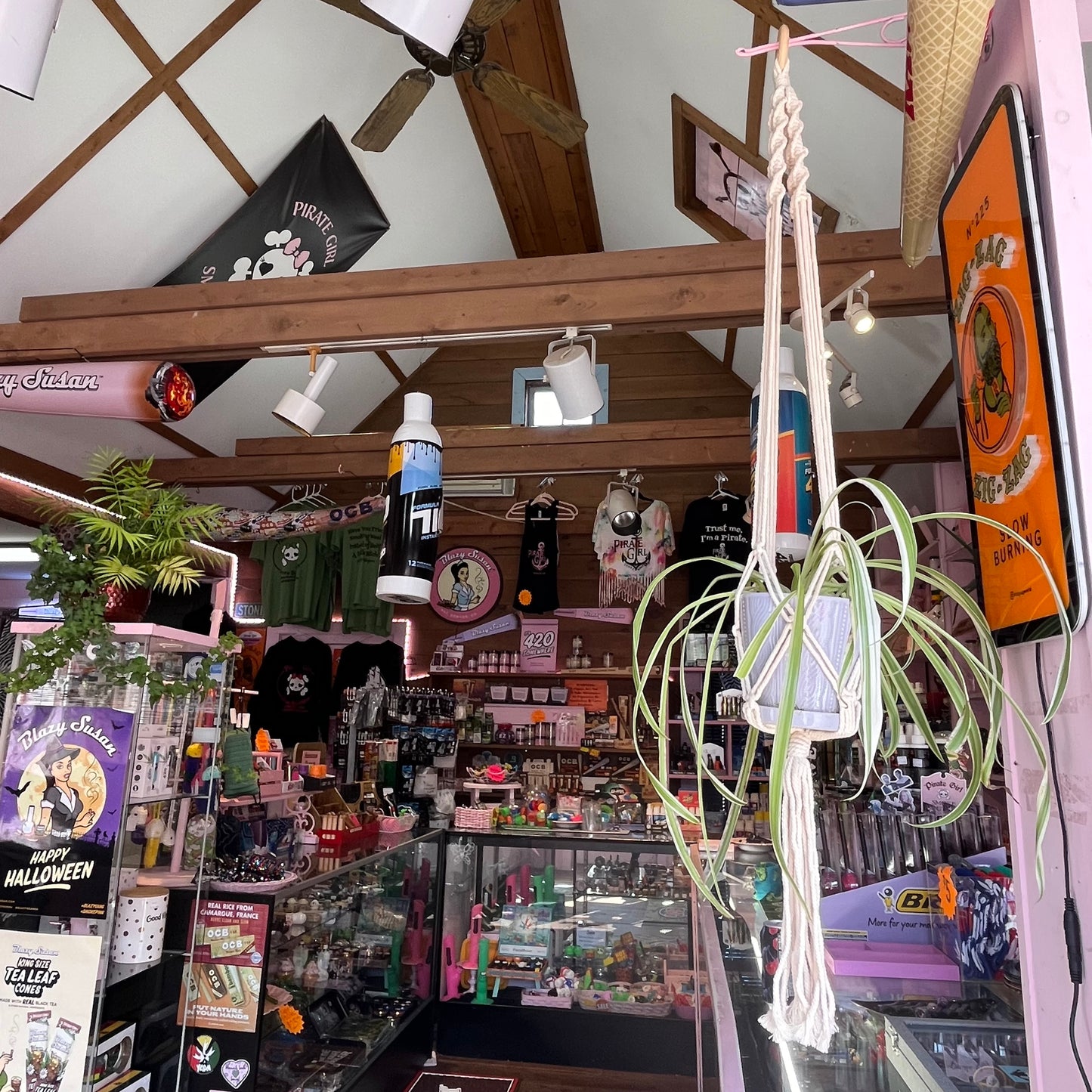 Macrame Plant Hanger