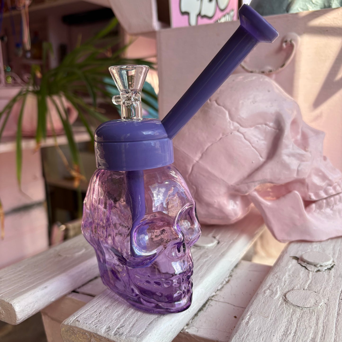 Skull Jar Water Pipe