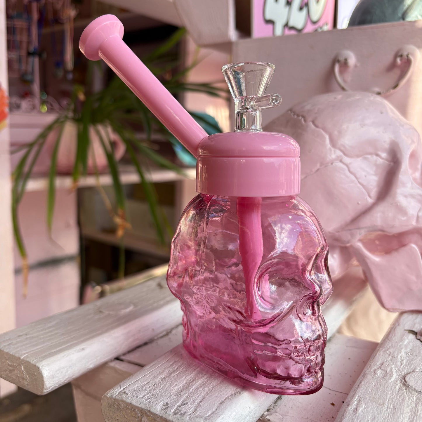 Skull Jar Water Pipe