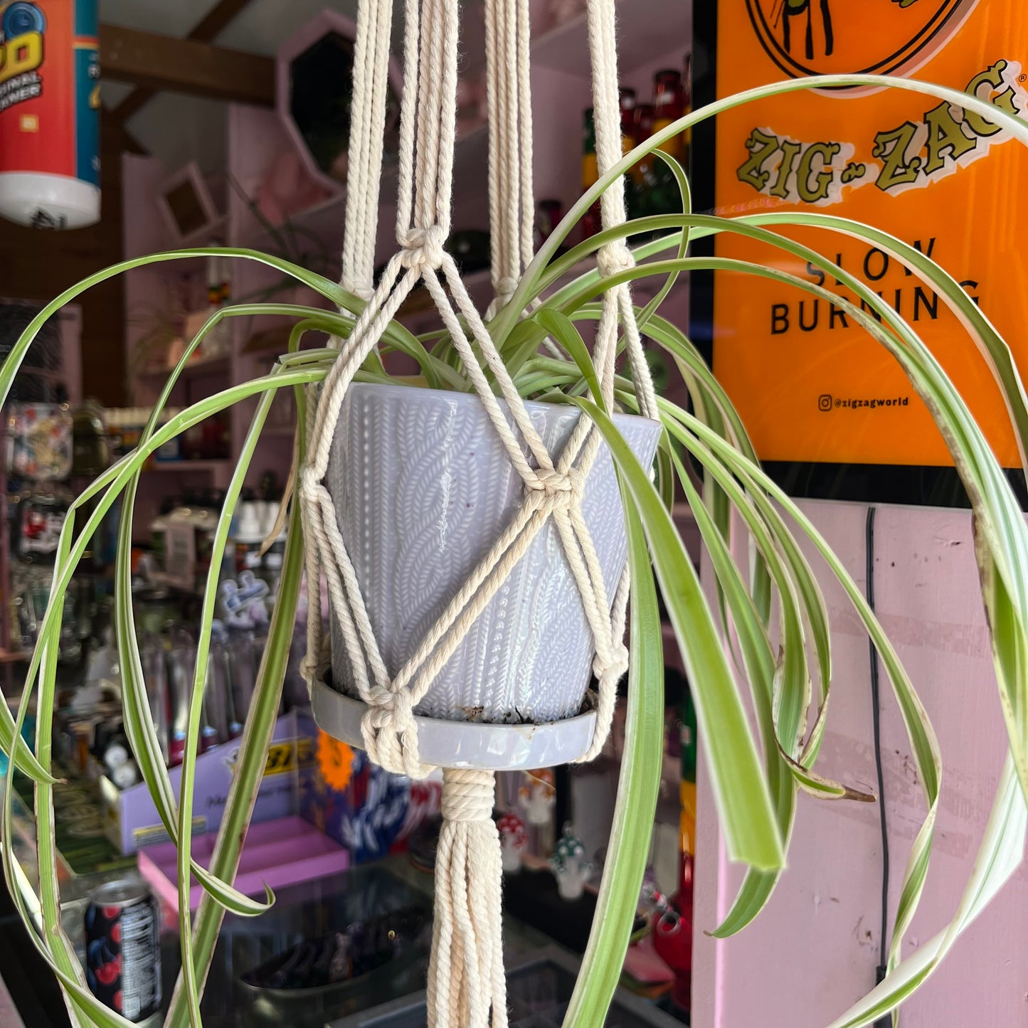 Macrame Plant Hanger