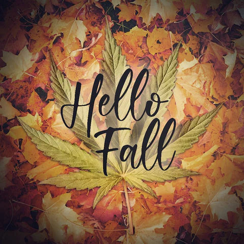 Cute Pipes and Accessories for Fall and Halloween!