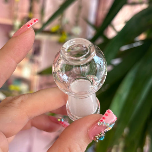 Glass Dome