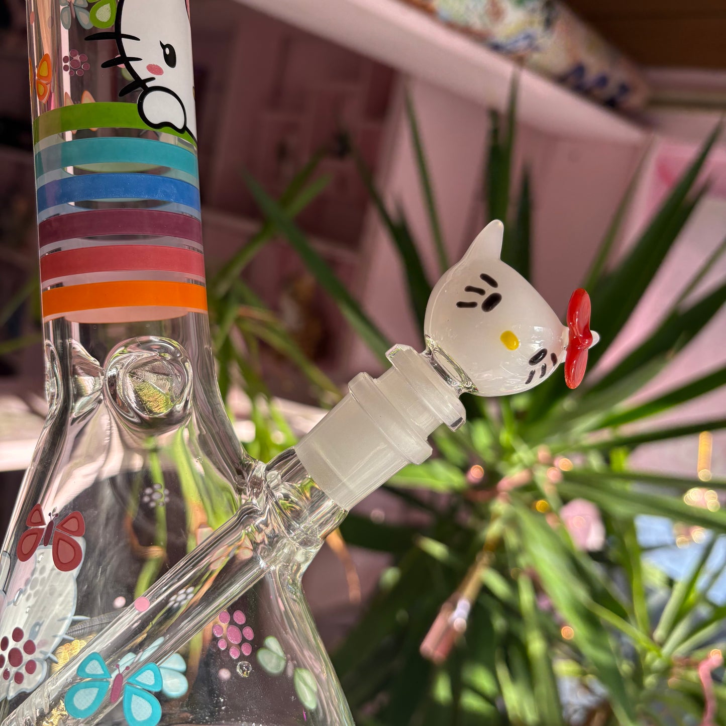 Cute Cat Glass Bowl Slide