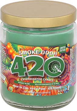 Smoke Odor Candle - Seasonal