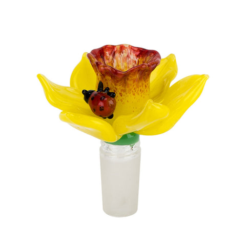 Daffodil Bowl Slide