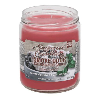 Smoke Odor Candle - Seasonal