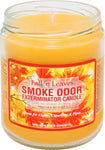 Smoke Odor Candle - Seasonal