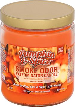 Pumpkin Spice Pet Odor Exterminator Candles - 2 Pack For Home Freshening