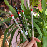 Mushroom Glass Drink Straw